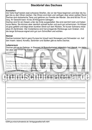 Dachssteckbrief.pdf